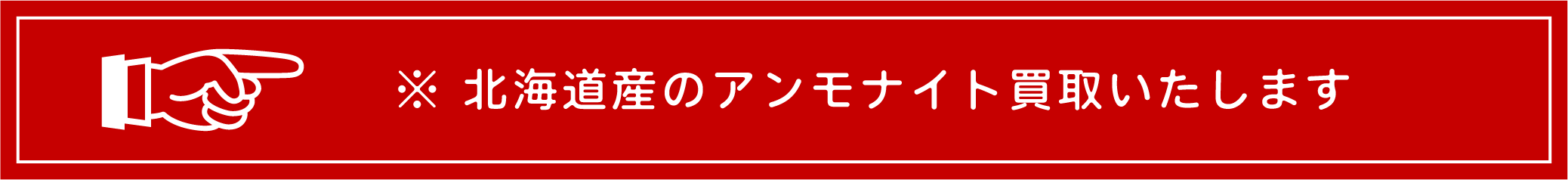 北海道産のアンモナイト買取いたします